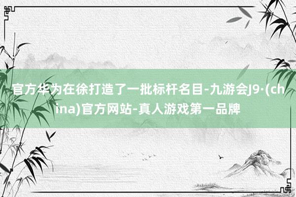 官方华为在徐打造了一批标杆名目-九游会J9·(china)官方网站-真人游戏第一品牌