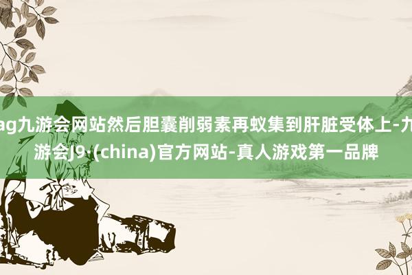 ag九游会网站然后胆囊削弱素再蚁集到肝脏受体上-九游会J9·(china)官方网站-真人游戏第一品牌