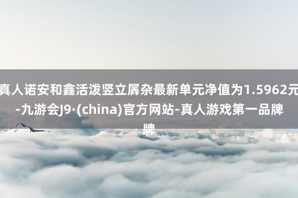 真人诺安和鑫活泼竖立羼杂最新单元净值为1.5962元-九游会J9·(china)官方网站-真人游戏第一品牌