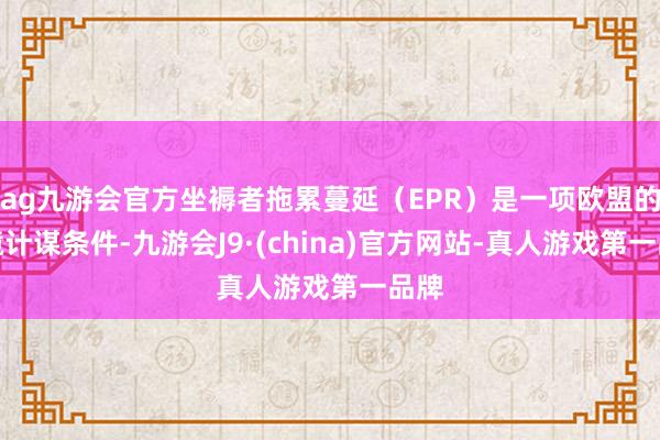 ag九游会官方坐褥者拖累蔓延（EPR）是一项欧盟的环境计谋条件-九游会J9·(china)官方网站-真人游戏第一品牌