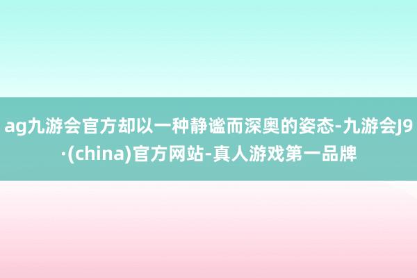 ag九游会官方却以一种静谧而深奥的姿态-九游会J9·(china)官方网站-真人游戏第一品牌