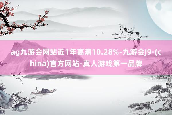 ag九游会网站近1年高潮10.28%-九游会J9·(china)官方网站-真人游戏第一品牌