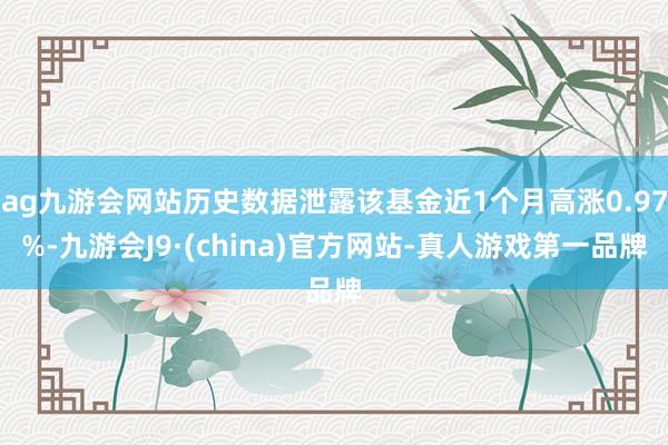 ag九游会网站历史数据泄露该基金近1个月高涨0.97%-九游会J9·(china)官方网站-真人游戏第一品牌