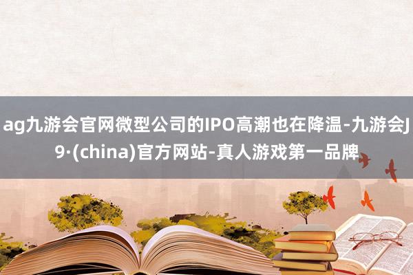 ag九游会官网微型公司的IPO高潮也在降温-九游会J9·(china)官方网站-真人游戏第一品牌