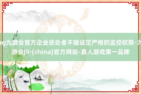 ag九游会官方企业惩处者不错设定严格的监控权限-九游会J9·(china)官方网站-真人游戏第一品牌