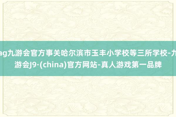 ag九游会官方事关哈尔滨市玉丰小学校等三所学校-九游会J9·(china)官方网站-真人游戏第一品牌