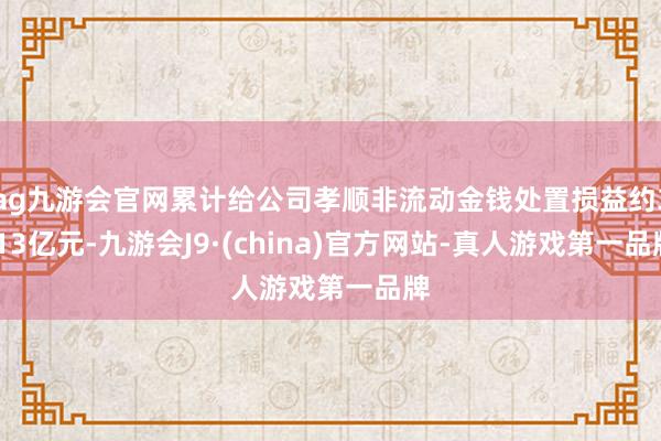 ag九游会官网累计给公司孝顺非流动金钱处置损益约3.13亿元-九游会J9·(china)官方网站-真人游戏第一品牌